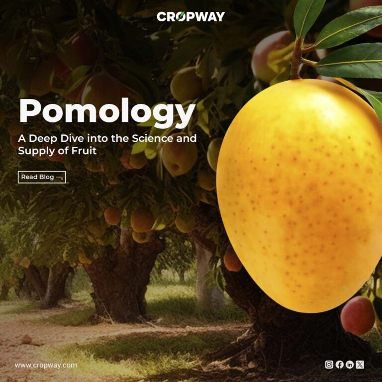 Pomology